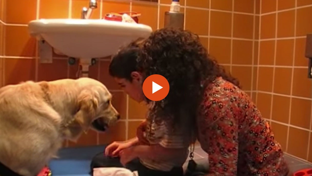 Cómo conseguir la atención de un niño con autismo con un perro