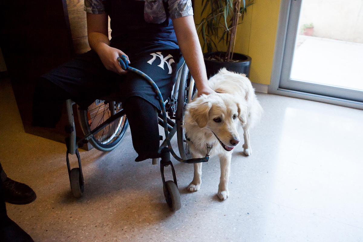 Fundación Affinity y los beneficios de las terapias con perros en adolescentes tutelados del centro CRAE