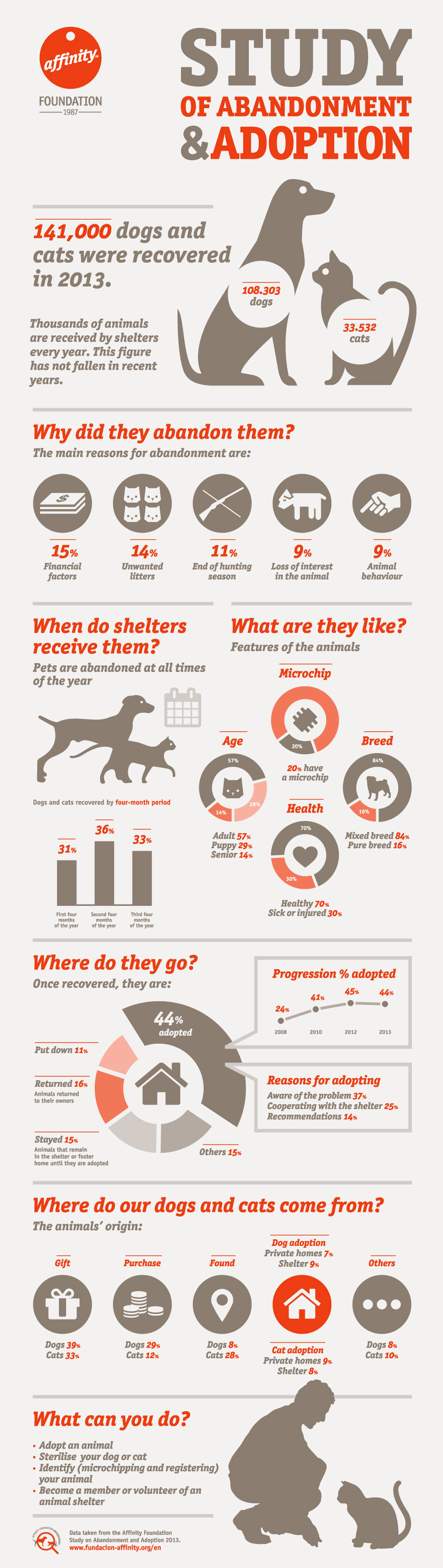 Abandonment and Adoption Study 2014 Graphic