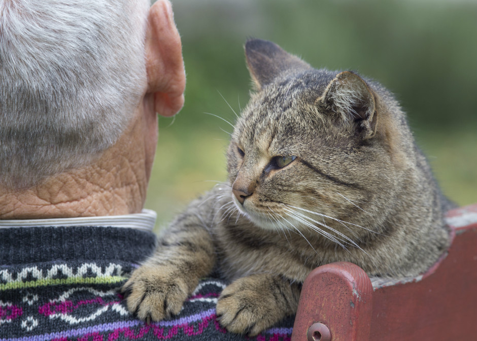 Los beneficios de los gatos en personas mayores