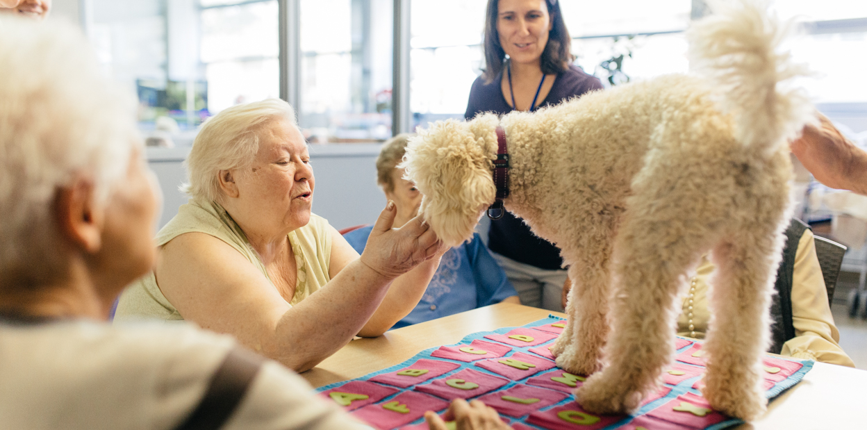 Eficacia Más bien canal Perros en residencias de ancianos | Fundación Affinity