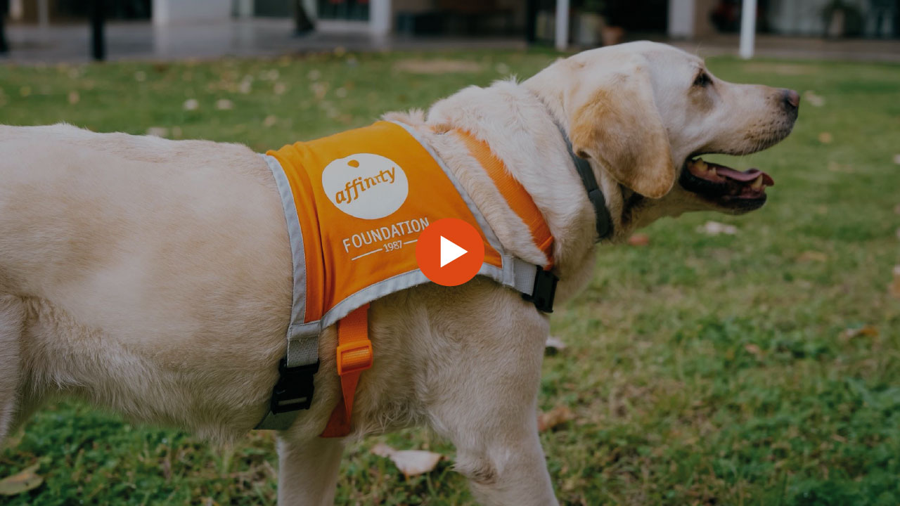 Vídeo Método Fundación Affinity de Terapias Asistidas con Animales