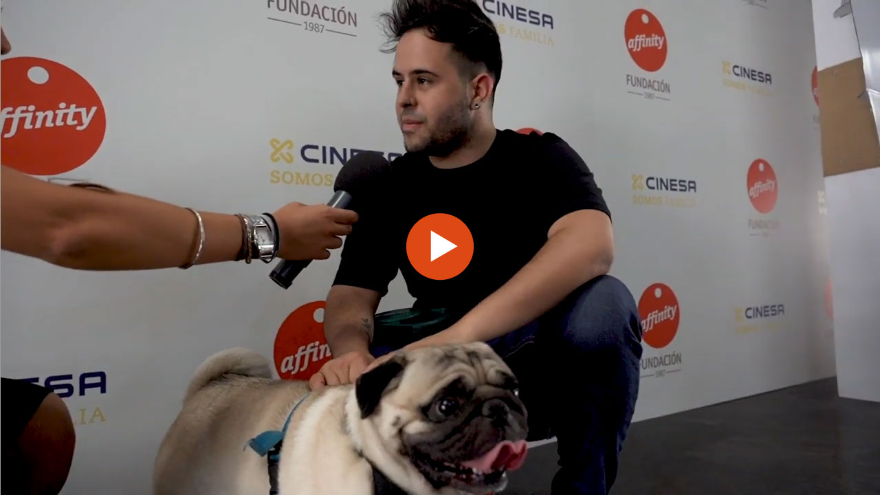 Más de 30 perros acuden a una sesión de cine pet friendly en Madrid