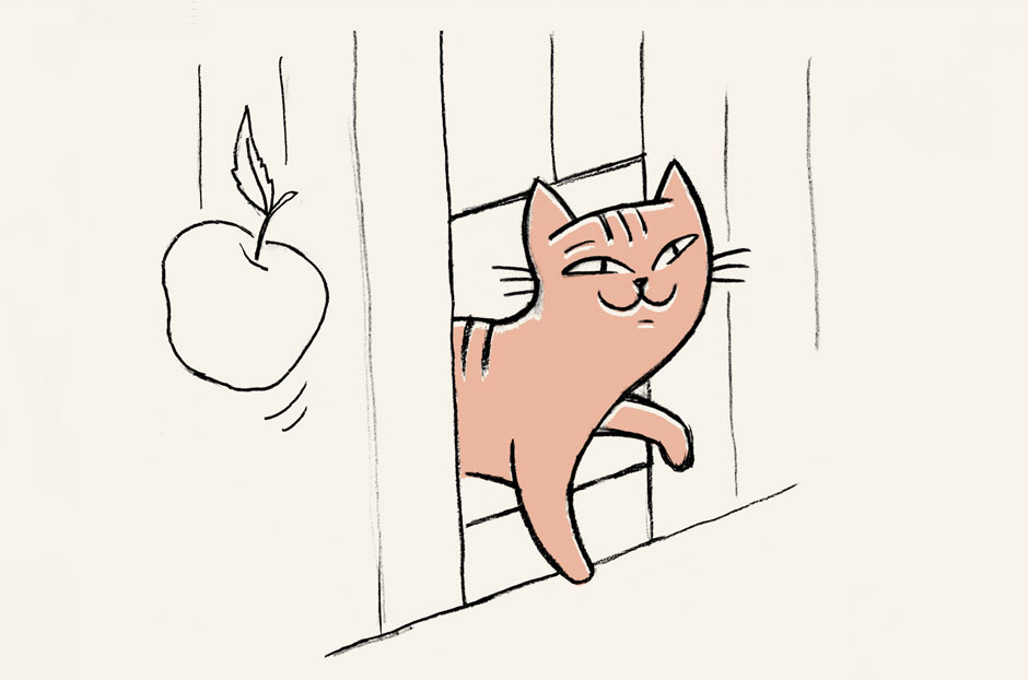 ¿Sabías que... Isaac Newton fue quien inventó la puerta para gatos?
