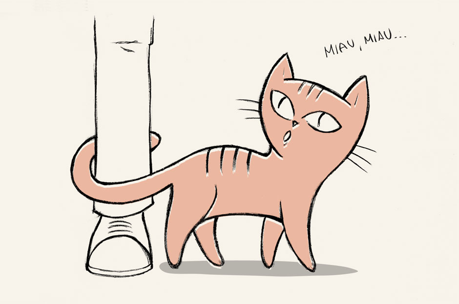 ¿Sabías que... los gatos adultos utilizan los maullidos principalmente para comunicarse con las personas y prácticamente nunca con otros gatos?