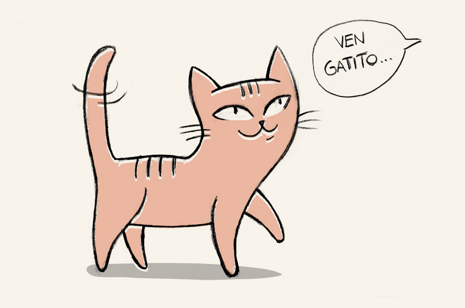 ¿Sabías que... un gato educado puede acudir cuando lo llamas?te