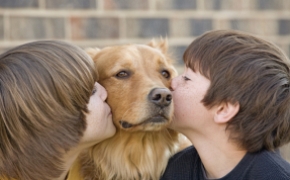 Buddies, el valor del vínculo entre perros y menores tutelados