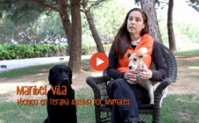  Las Terapias con animales ayudan a los pacientes a relacionarse con su entorno