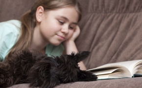 Los niños con TDAH mejoran sus habilidades sociales con un animal presente