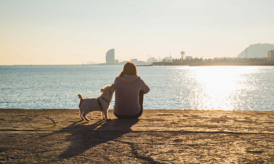 Cómo y dónde encontrar perros en adopción en Barcelona